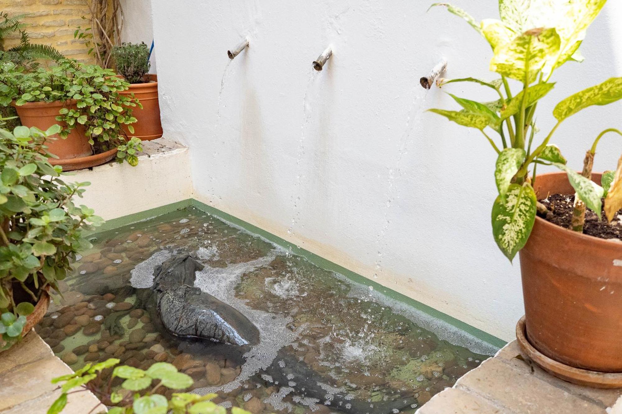 La Casa 1832 Boutique Bed and Breakfast Sanlúcar de Barrameda Exteriör bild